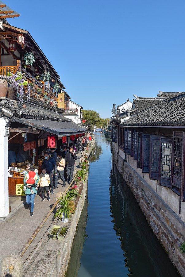 「聊一下家里的狗做过最搞笑的事情是什么?」- 优质有问必答平台